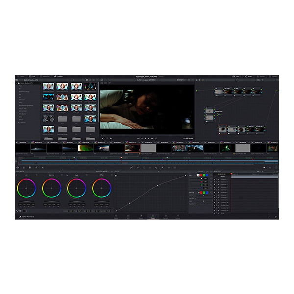 DaVinci Resolve 18 パレードに何も表示されない